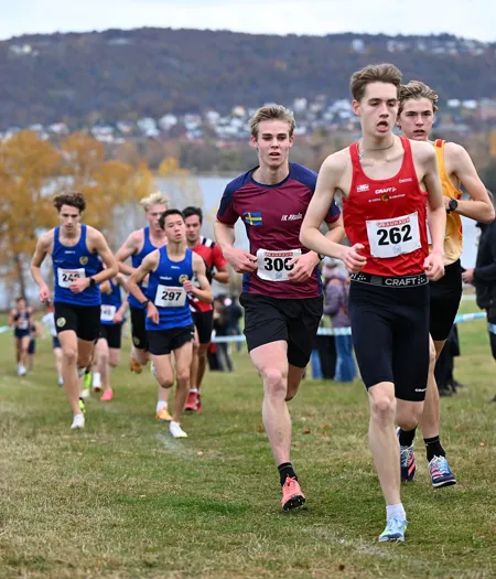 Lucas Björfelt 4199