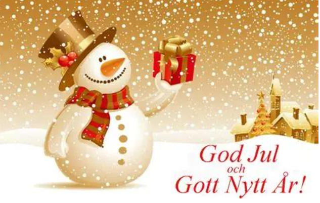 Ska Rmavbild 2025 12 12 Kl 11 27 20