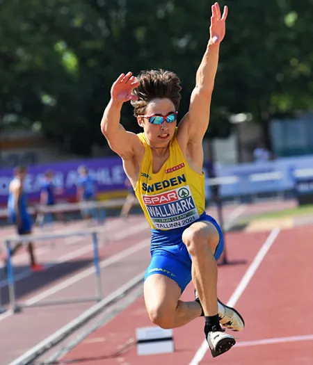 Gabriel Wallmark