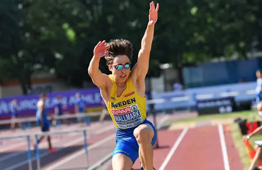 Gabriel Wallmark