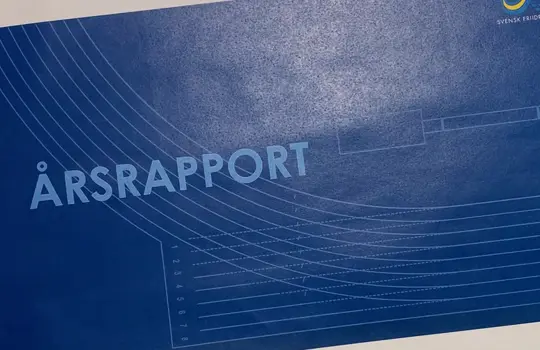 Bild Arsrapport