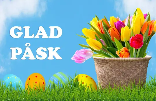 Glad Pask