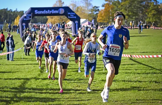 Erik Jansson 0813