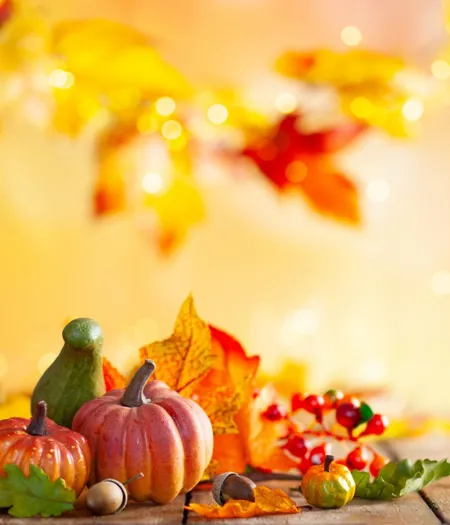 Adobestock 290015480