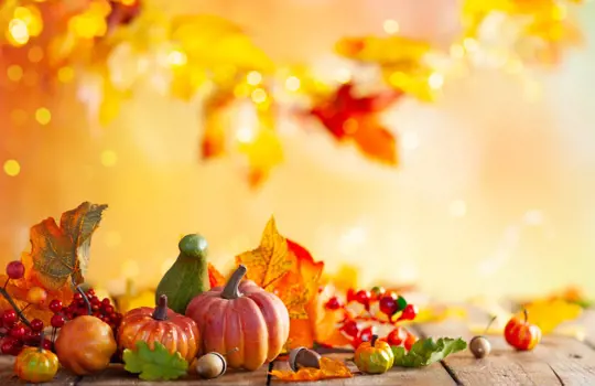 Adobestock 290015480
