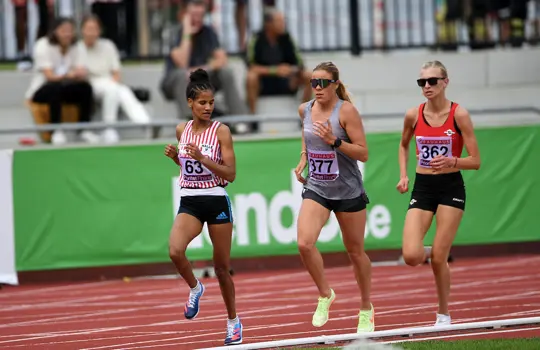 Lovisa Modig