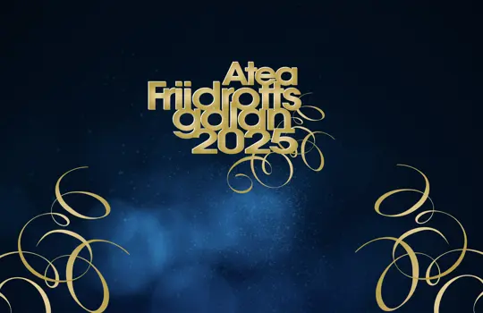 FIG 2025 Sajt