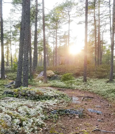 Original 38446870 1EC7 4F40 A464 06AF07813B5A