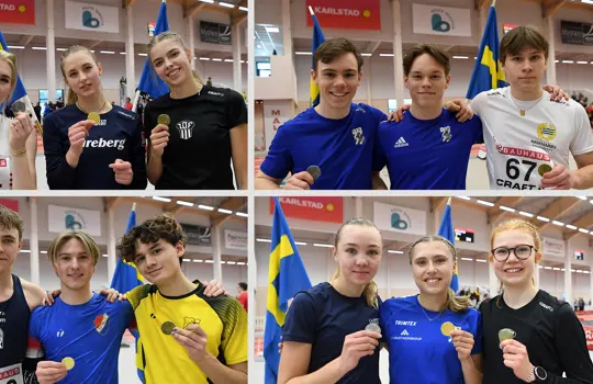 Medaljörer Ijsm