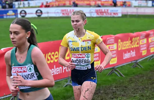 Vera Sjöberg 880 9910
