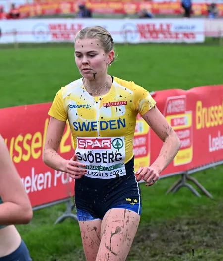 Vera Sjöberg 880 9910