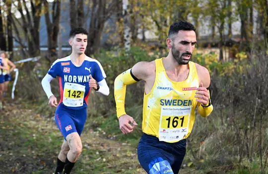 Mohammadreza Abootorabi (2)