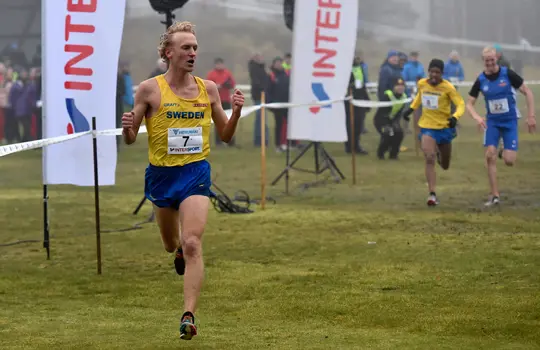 David Nilsson (1)