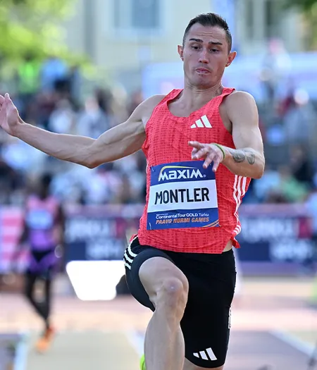 Montler (2)