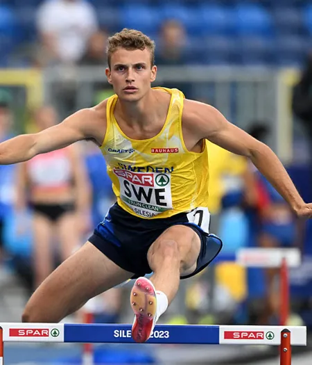 Karl Wallgren23