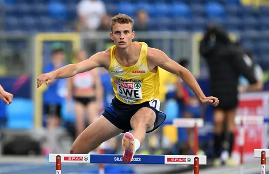 Karl Wallgren23