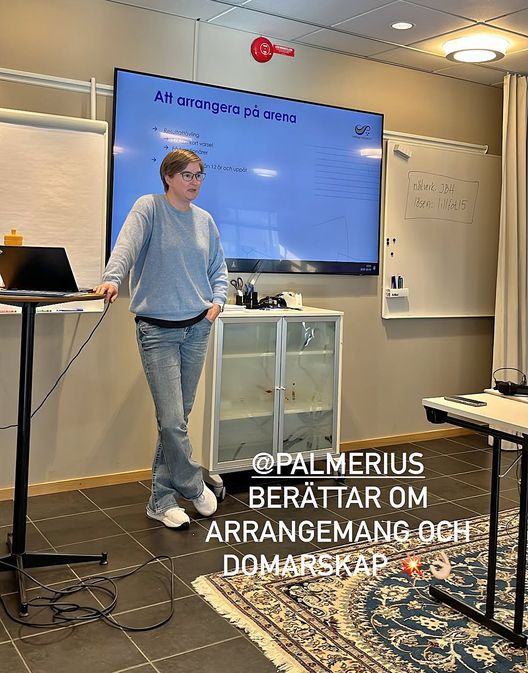 Anna Palmerius
