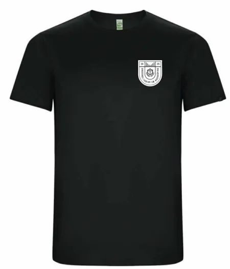 USMJSMT2