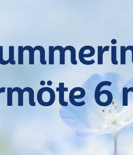 Summering Vårmöte 6 Maj