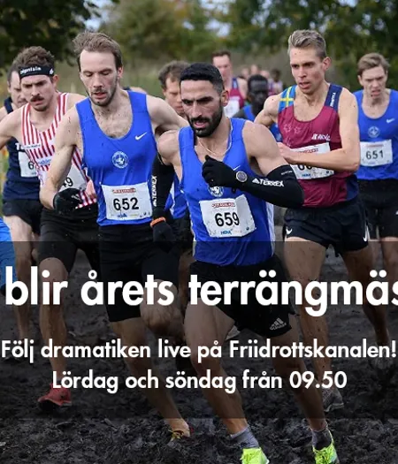 Terrang Promo