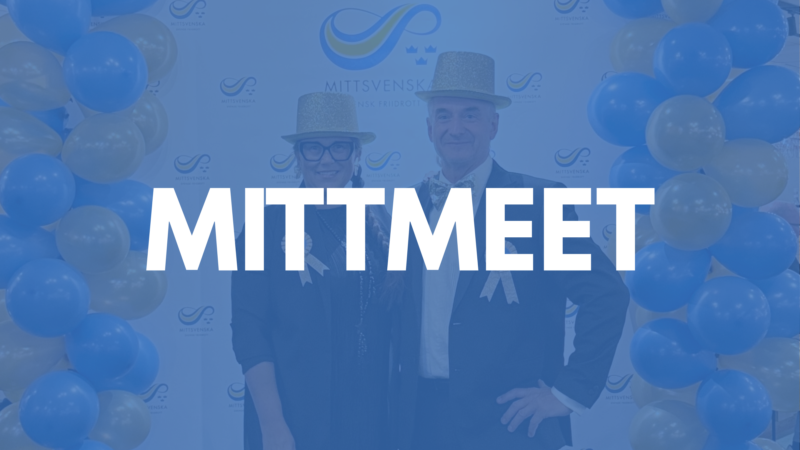 Hemsidebild Mittsvenska (1)