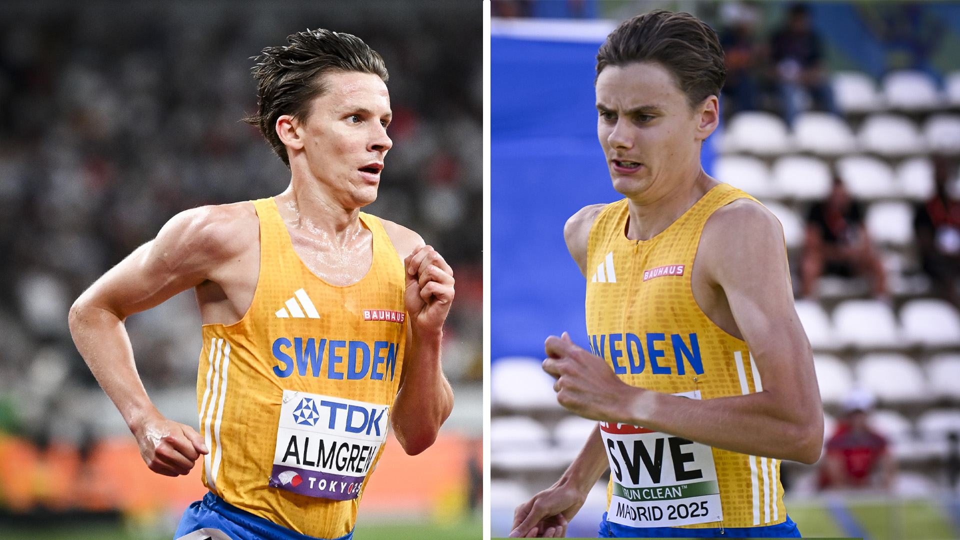 Almgren Vs Pihlström