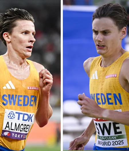 Almgren Vs Pihlström