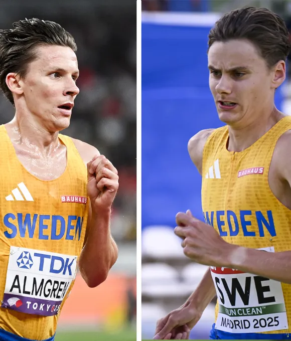 Almgren Vs Pihlström