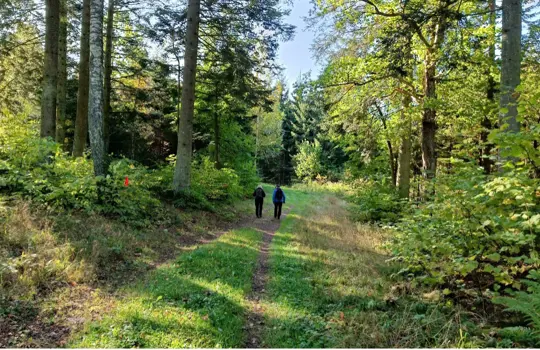 Lundsbrunn1