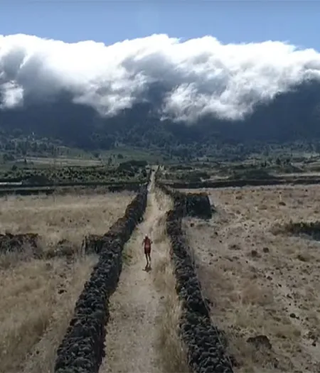 Trail