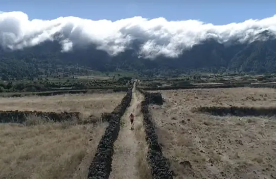 Trail