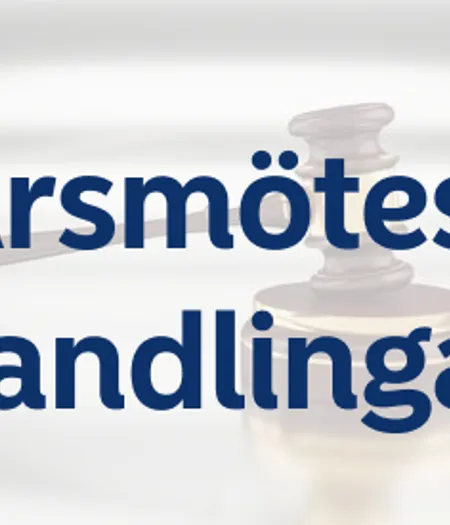 Arsmoteshandingar