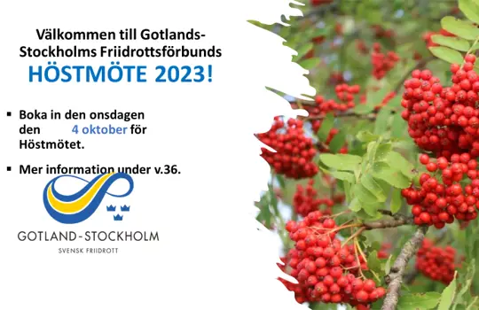 Hostmote 2