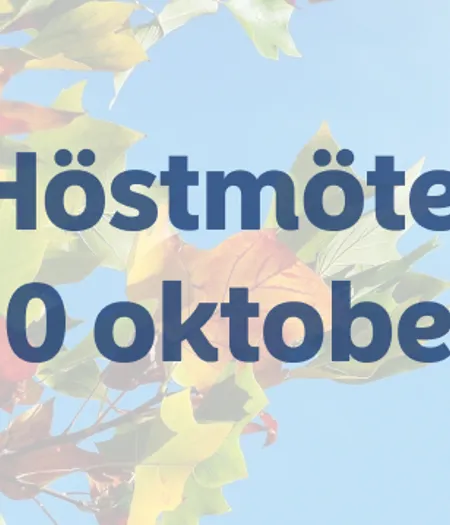 Hostmote 2024