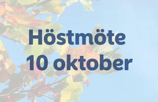 Hostmote 2024