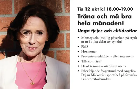 Föredrag 3