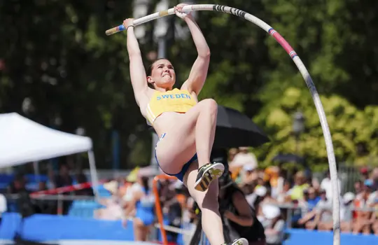 Sandra Alvero