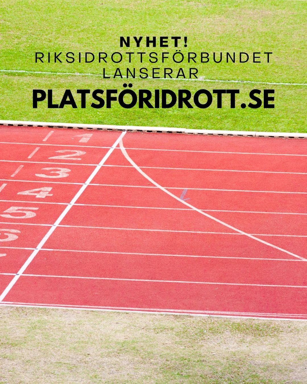 Nyhet Riksidrottsfo Rbundet Lanserar