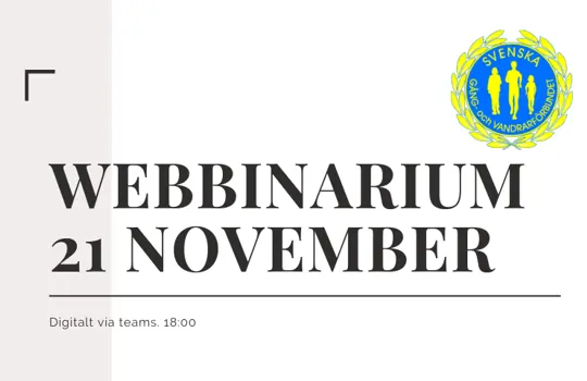Webbinarium
