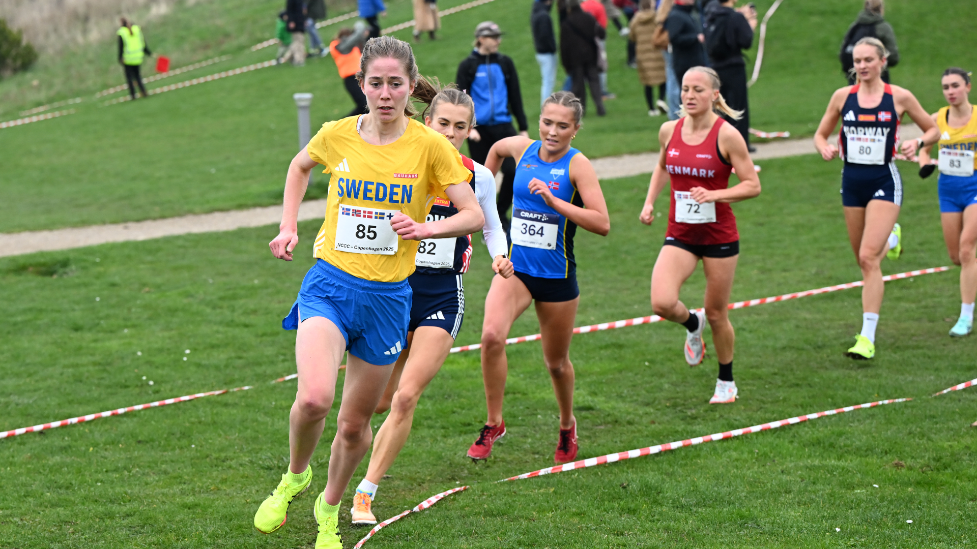 Evelina Henriksson Terräng