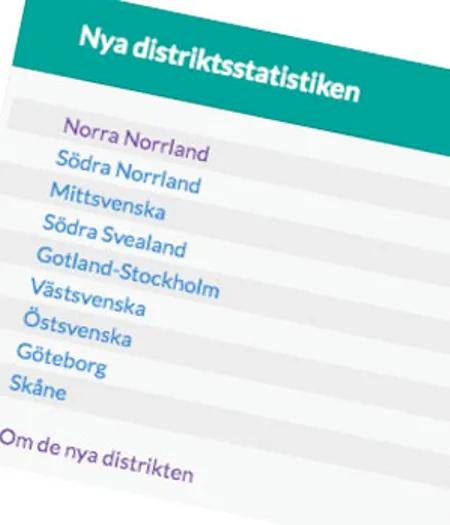 Nya distrikten
