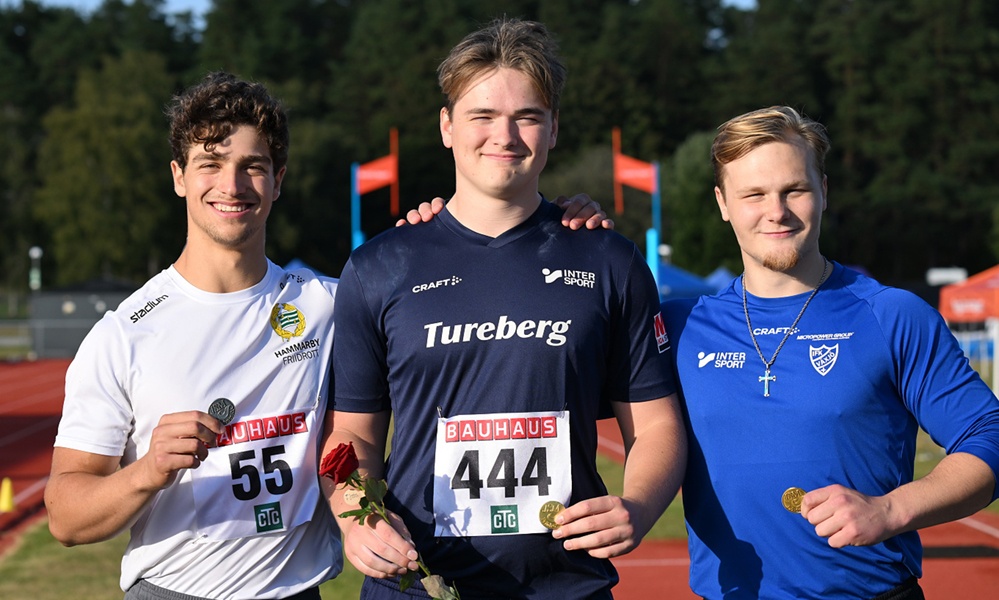 Pallen P19 Ludvig