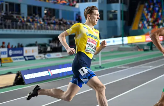 Emil Danielsson IEM 2023
