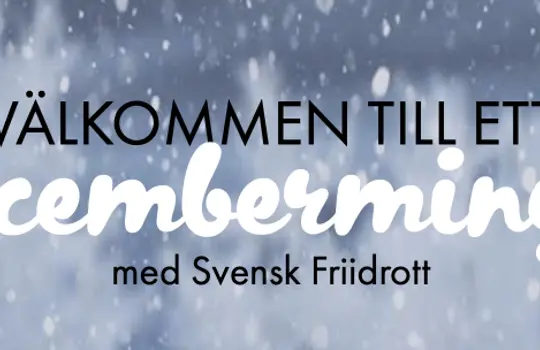 Decembermingel Liten