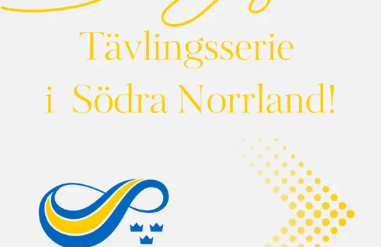 Tävlingsserie