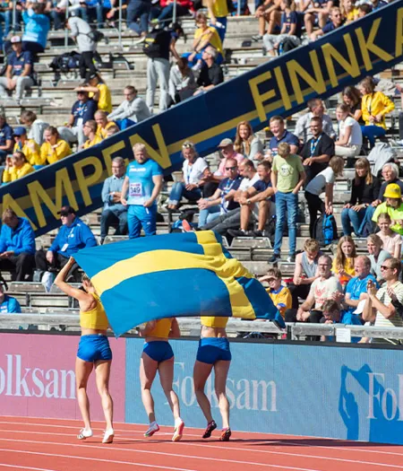 Finnkamp Flaggbild (2)