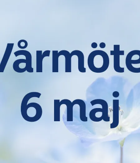 Vårmöte 6Maj