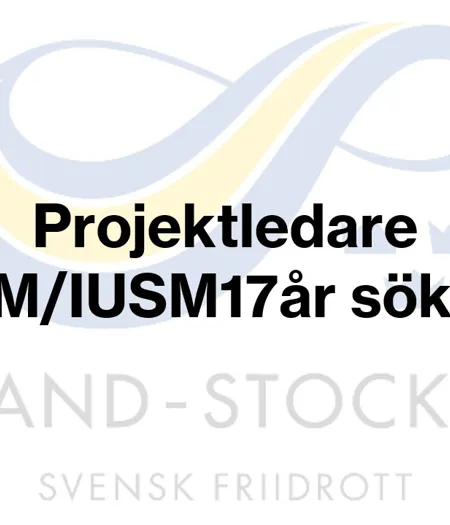 Projektledare ISM26