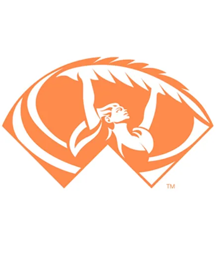 Vm Logotyp