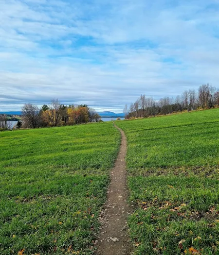 330772722 579566787174498 1088606074572901240 N (1)